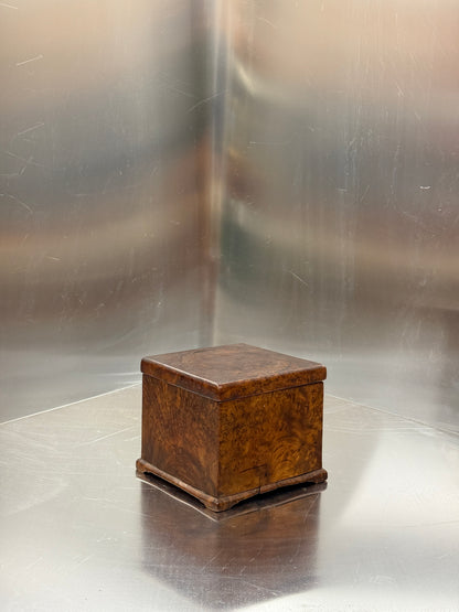 Lidded box in birch burl