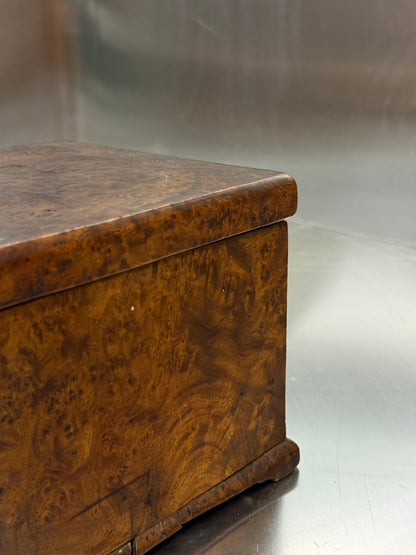 Lidded box in birch burl